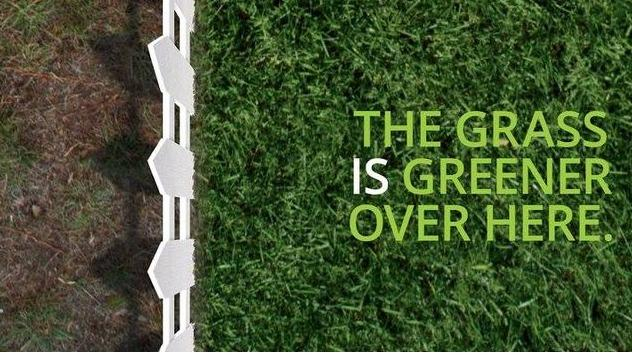 Cover photo of Lawn Doctor of Edmond-OKC